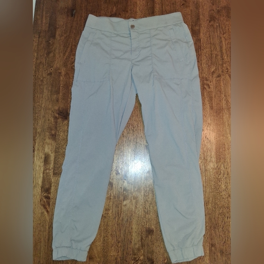 Athleta Trekkie Jogger 2.0 Pants Gray Beige UPF 50+ Rip Stop Gorp Core 10 - Picture 2 of 7